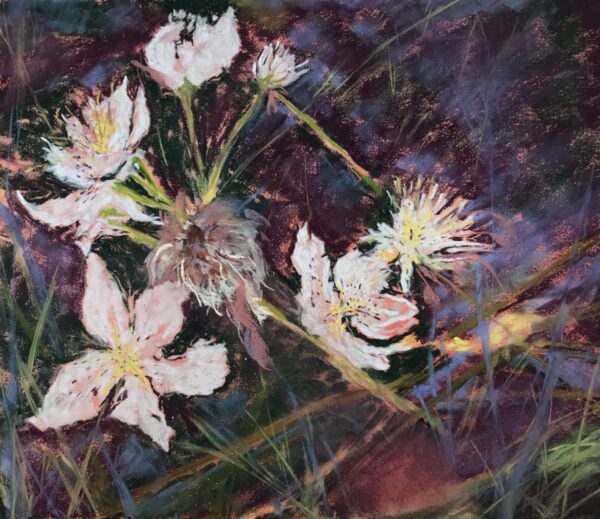 Wildflower Pastel on Paper artwork