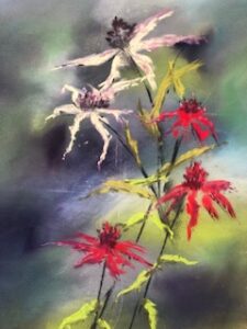 Soft Pastel on Paper, Echinacea flowers at end of season. 10x8 image in double white mount and black frame